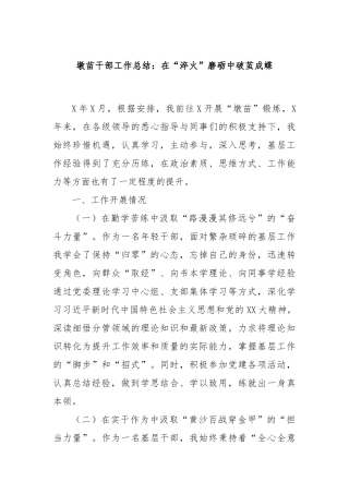 墩苗干部工作总结：在“淬火”磨砺中破茧成蝶