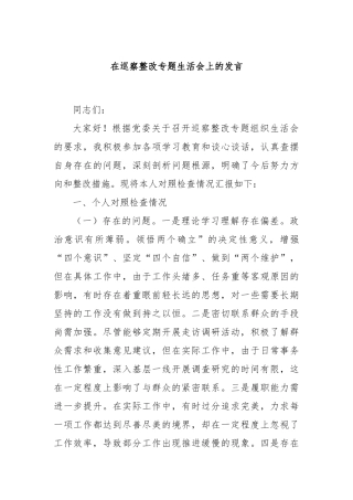 在巡察整改专题生活会上的发言