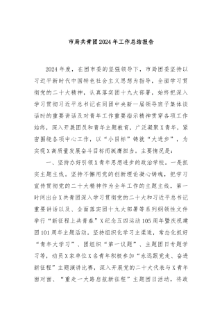市局共青团2024年工作总结报告