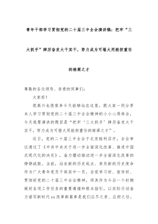 青年干部学习贯彻党的二十届三中全会演讲稿：把牢“三大抓手”踔厉奋发大干实干，努力成为可堪大用能担重任的栋梁之才