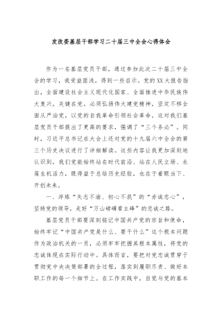 发改委基层干部学习二十届三中全会心得体会
