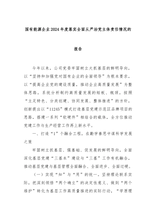国有能源企业2024年度落实全面从严治党主体责任情况的报告