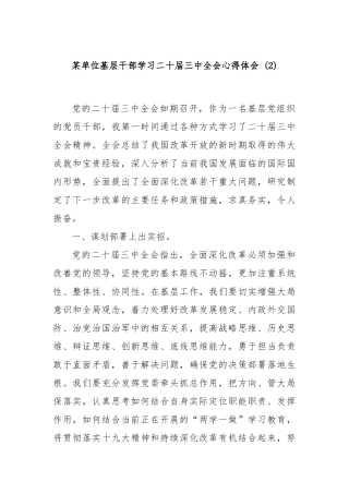 某单位基层干部学习二十届三中全会心得体会 (2)