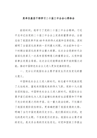 某单位基层干部学习二十届三中全会心得体会（1）