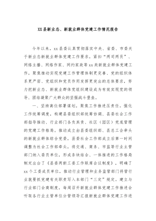 XX县新业态、新就业群体党建工作情况报告