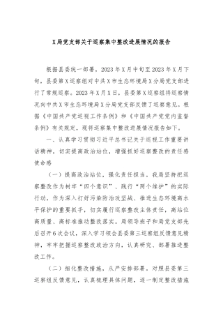 X局党支部关于巡察集中整改进展情况的报告