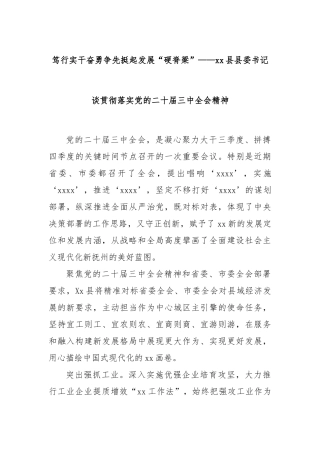 笃行实干奋勇争先挺起发展“硬脊梁”——xx县县委书记谈贯彻落实党的二十届三中全会精神