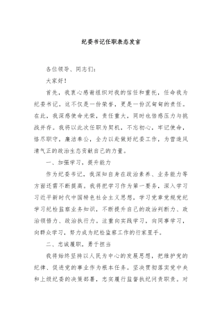 纪委书记任职表态发言