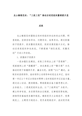 龙山镇莲花村：“三抓三促”推动后进党组织整顿提升显成效