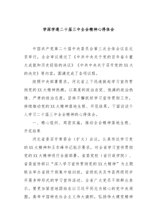 学深学透二十届三中全会精神心得体会