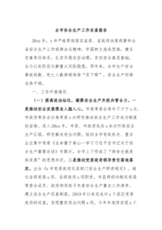 全市安全生产工作自查报告