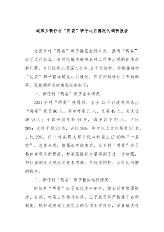 城郊乡新任村“两委”班子运行情况的调研报告