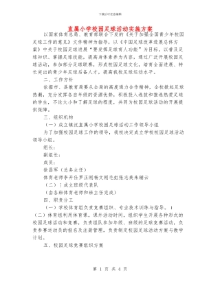 直属小学校园足球活动实施方案