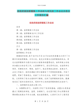 省政府派挂职锻炼工作总结与省民政工作会议内容及工作报告汇编
