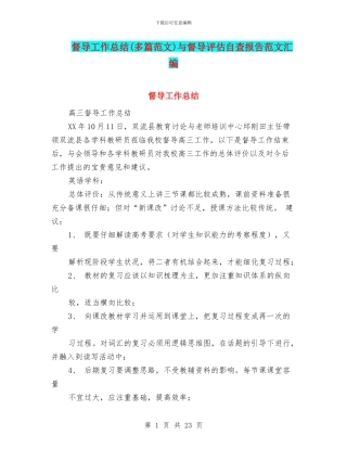 督导工作总结与督导评估自查报告范文汇编