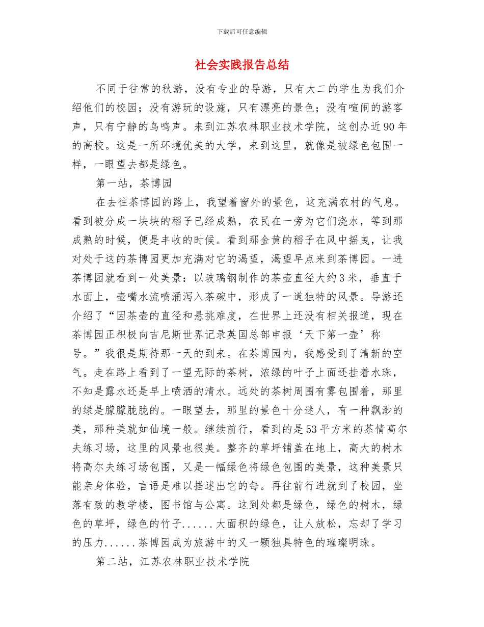 社会实践总结表彰大会发言稿与社会实践报告总结汇编_第3页