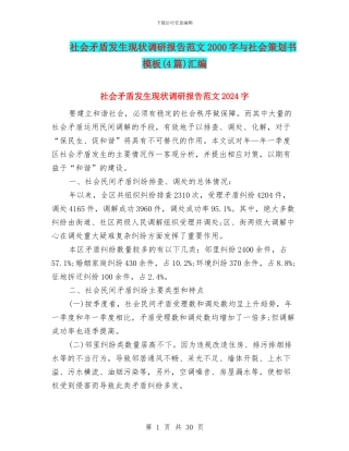 社会矛盾发生现状调研报告范文2000字与社会策划书模板汇编