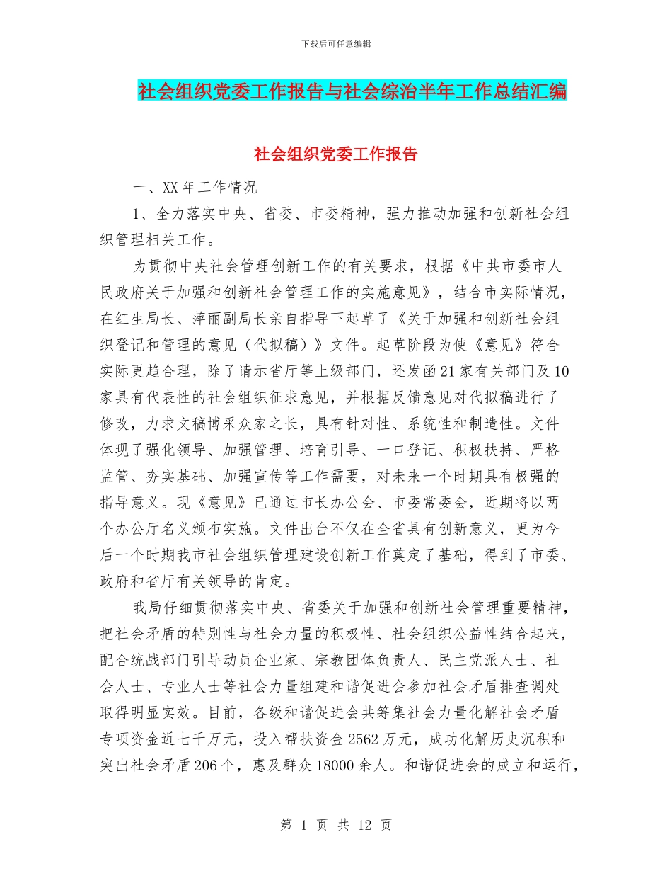社会组织党委工作报告与社会综治半年工作总结汇编_第1页