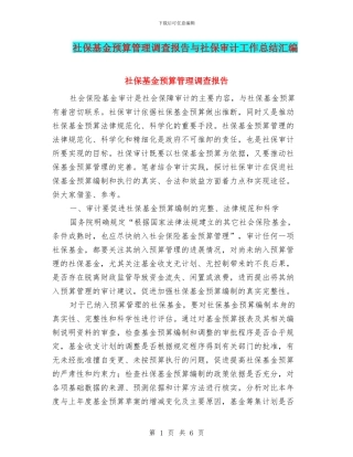 社保基金预算管理调查报告与社保审计工作总结汇编