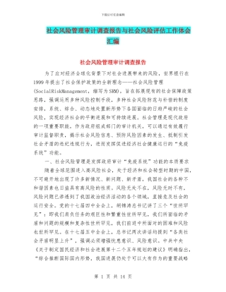 社会风险管理审计调查报告与社会风险评估工作体会汇编