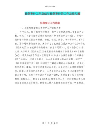 社保审计工作总结与社保审计的工作总结汇编