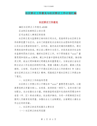 社区矫正工作意见与社区矫正工作计划汇编