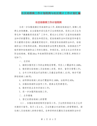 社区结核病工作计划范例与社区统计工作计划汇编