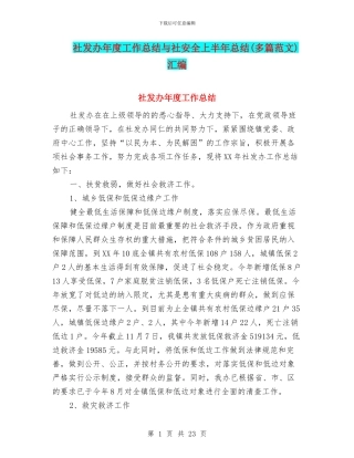 社发办年度工作总结与社安全上半年总结汇编
