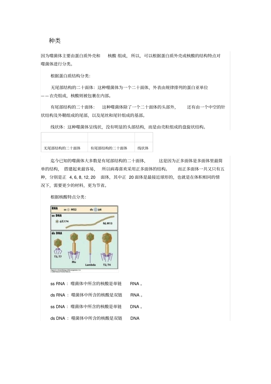完整版噬菌体种类与形态_第1页