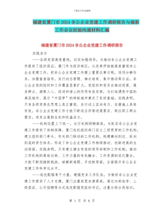 福建省厦门市2024非公企业党建工作调研报告与福彩工作会议经验交流材料汇编
