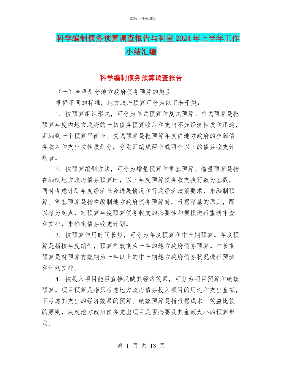 科学编制债务预算调查报告与科室2024年上半年工作小结汇编_第1页