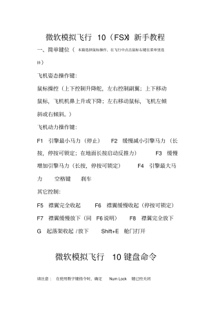 完整版微软模拟飞行10新手教程1