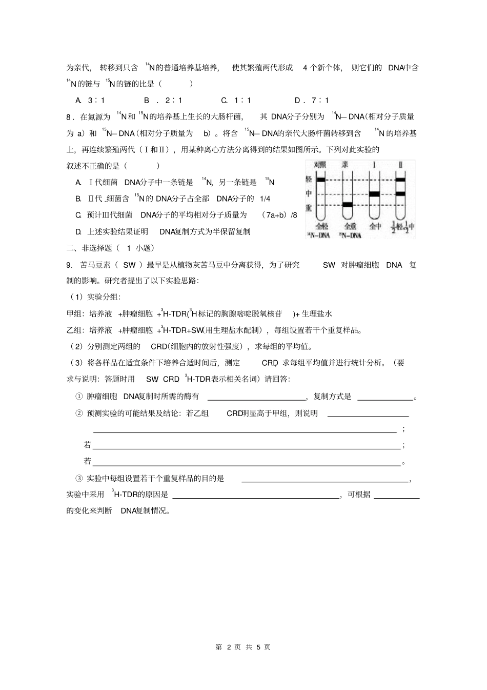 完整版必修二DNA的复制试题及答案_第2页