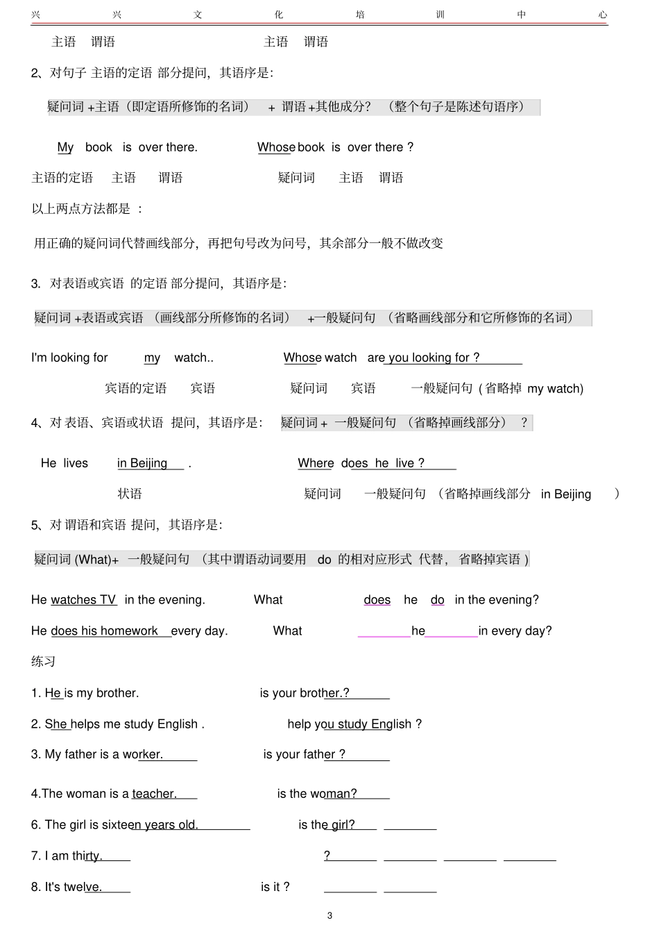 完整版总结特殊疑问句文档良心出品_第3页