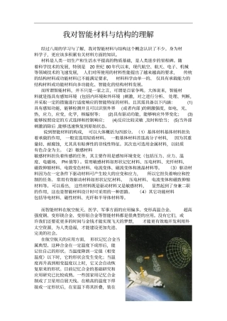完整版我对智能材料与结构的理解