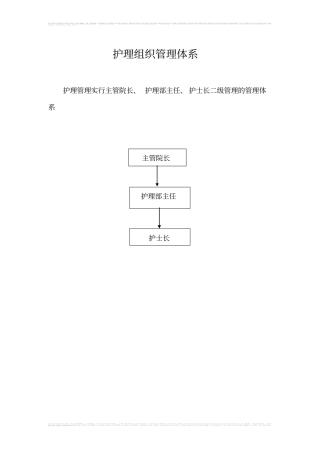 完整版护理组织管理体系文档良心出品