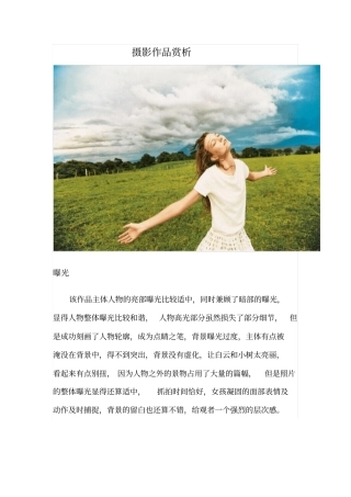 完整版摄影作品赏析文档良心出品