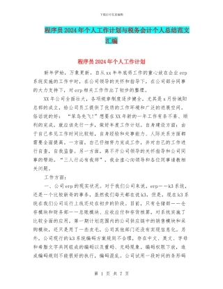 程序员2024年个人工作计划与税务会计个人总结范文汇编