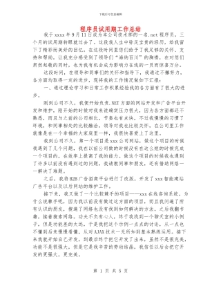 程序员试用期工作总结
