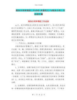 税务分局审理组工作总结与税务分局工作总结汇编