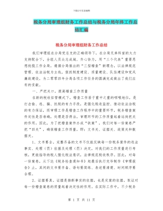 税务分局审理组财务工作总结与税务分局年终工作总结汇编