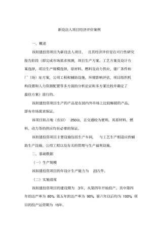 完整版新设法人投资项目经济评价