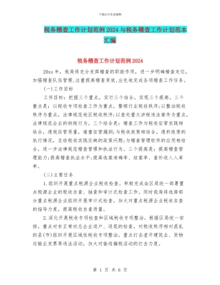 税务稽查工作计划范例2024与税务稽查工作计划范本汇编