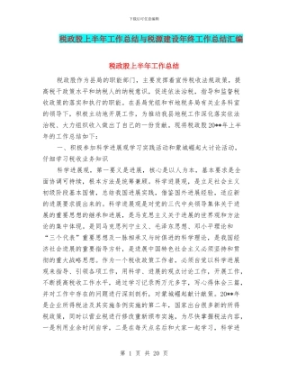 税政股上半年工作总结与税源建设年终工作总结汇编