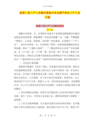 税源二股三严三实整改措施与突出精严细实三严三实汇编