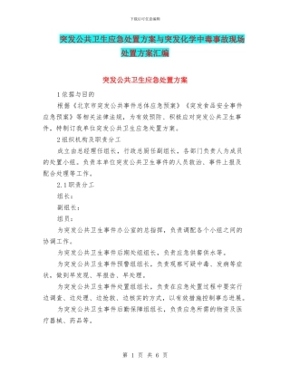 突发公共卫生应急处置方案与突发化学中毒事故现场处置方案汇编