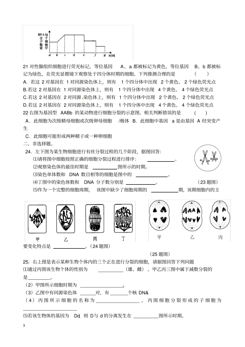 完整版有丝分裂和减数分裂专题练习含答案,推荐文档_第3页