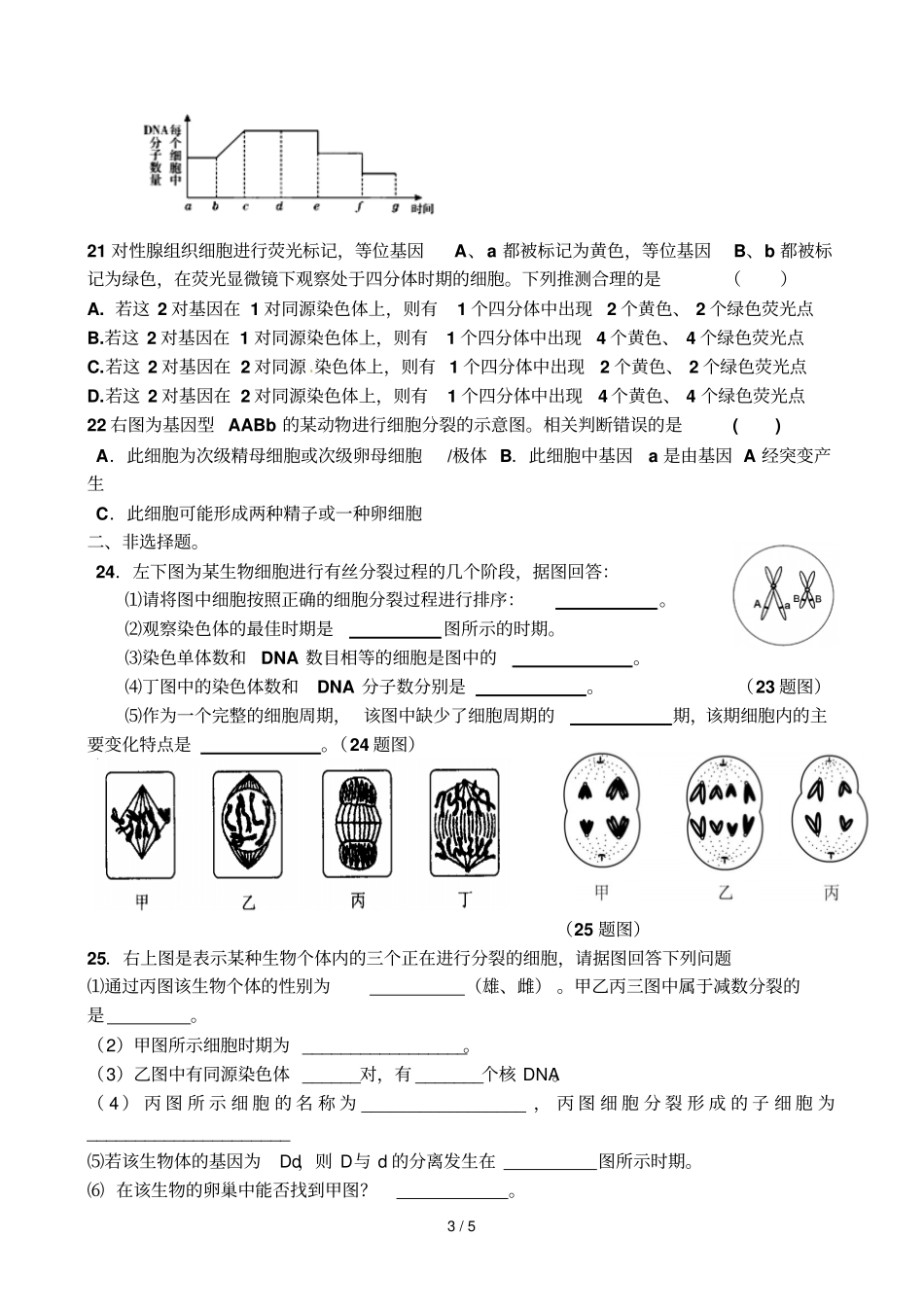 完整版有丝分裂和减数分裂专题练习含标准答案_第3页
