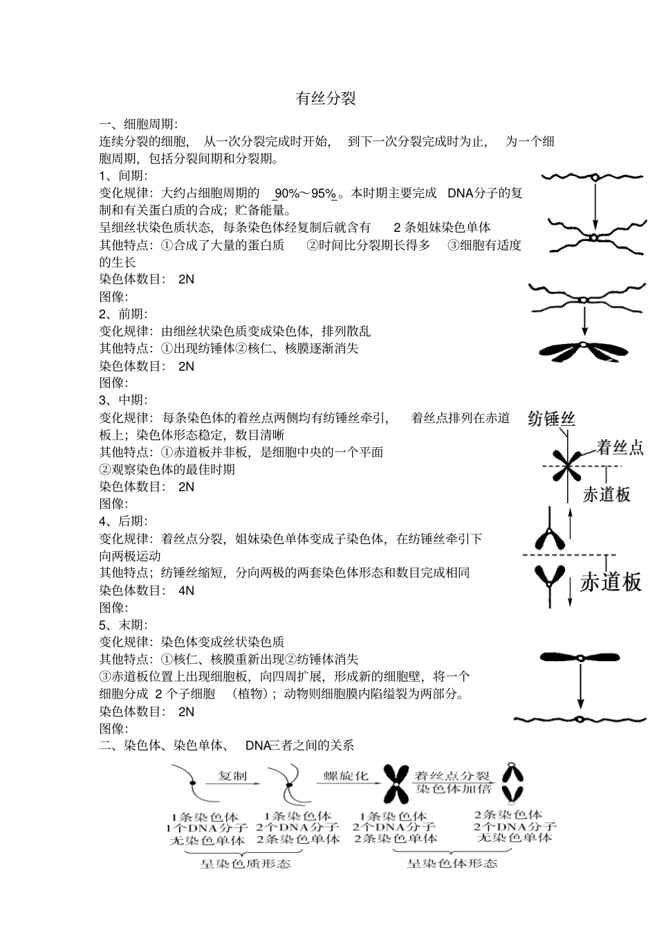 完整版有丝分裂知识点归纳文档_第1页