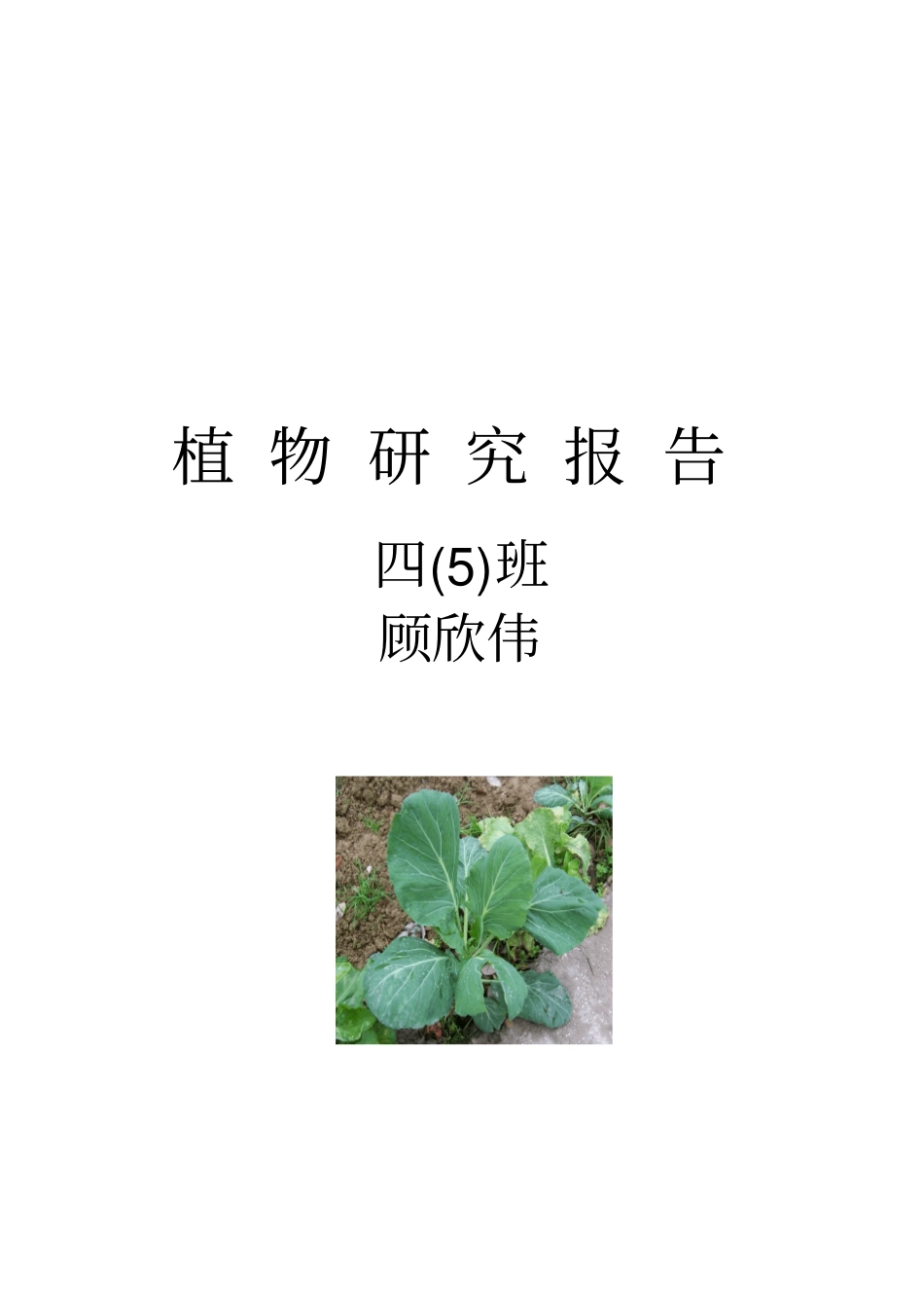 完整版植物研究报告_第1页